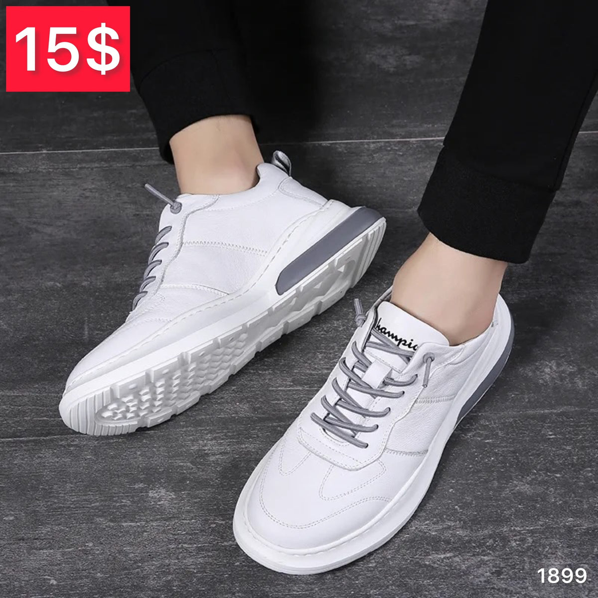 Special Offer 15$