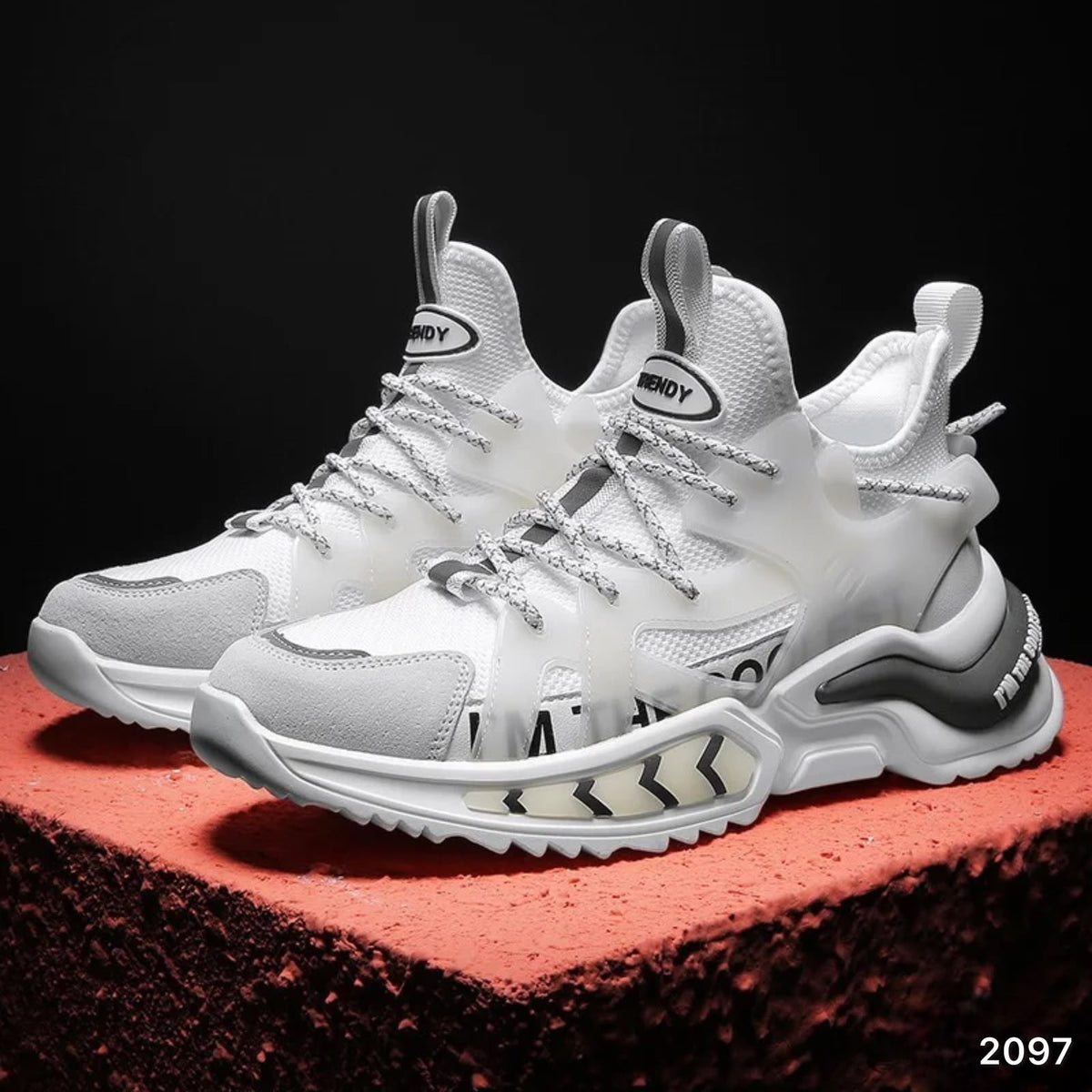 Men Shoes